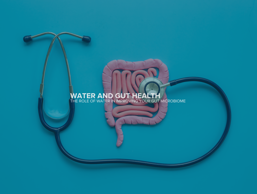 How to Improve Your Gut Microbiome with the Right Water