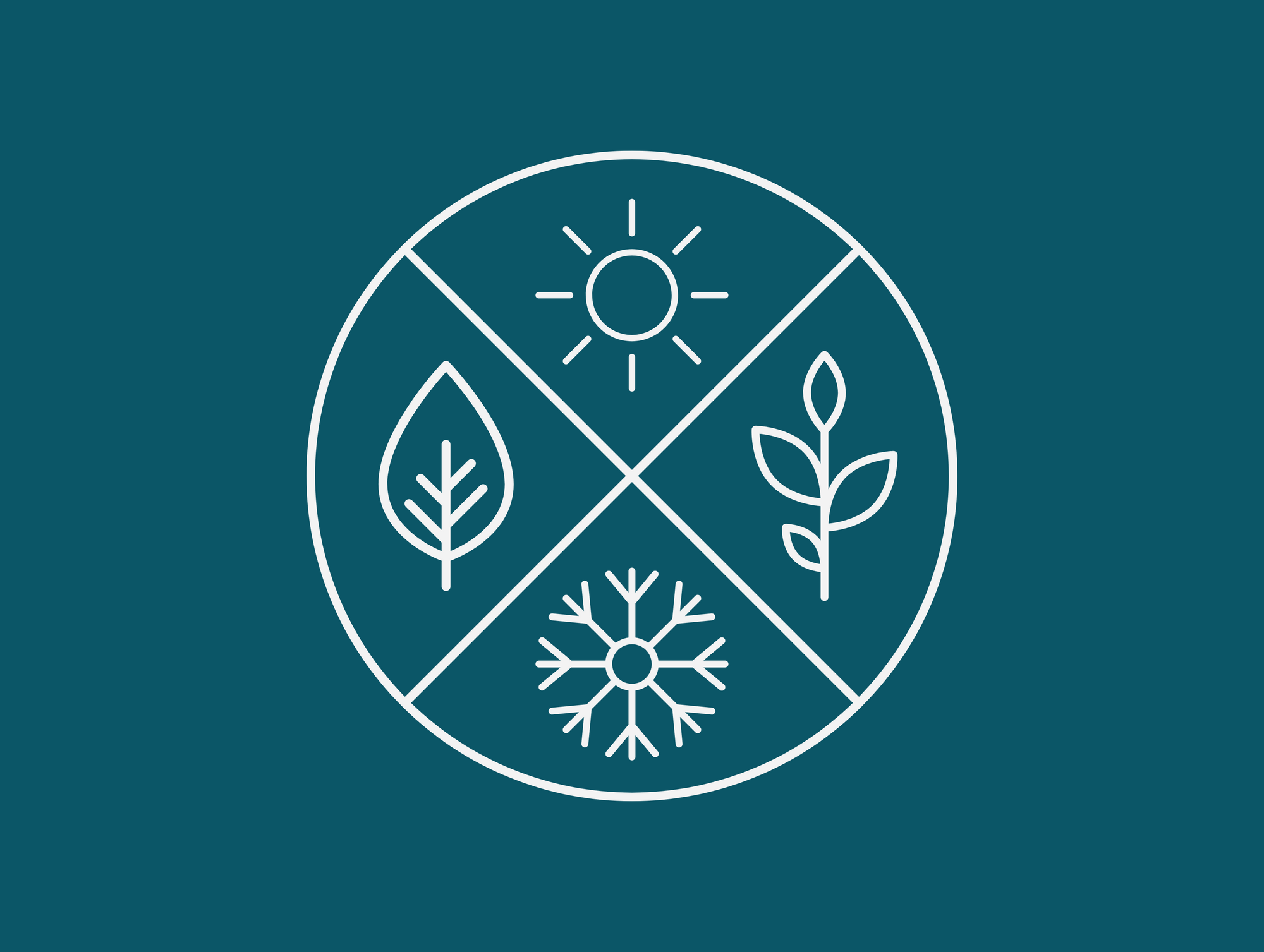 Stay Hydrated All Year Round: Essential Seasonal Hydration Tips