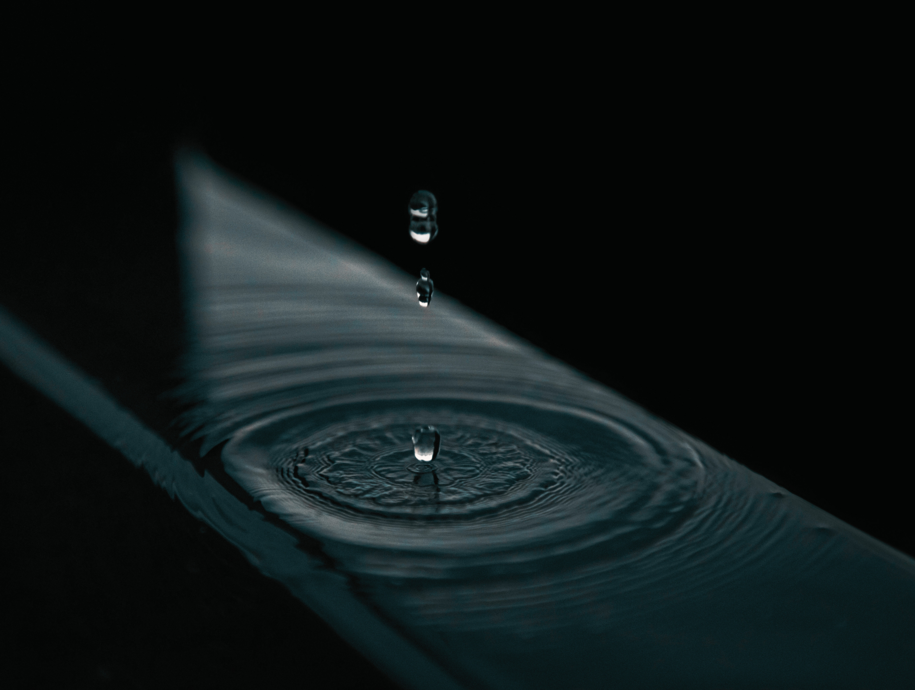 The Universal Solvent: Why Water Is the Quiet Hero of Life