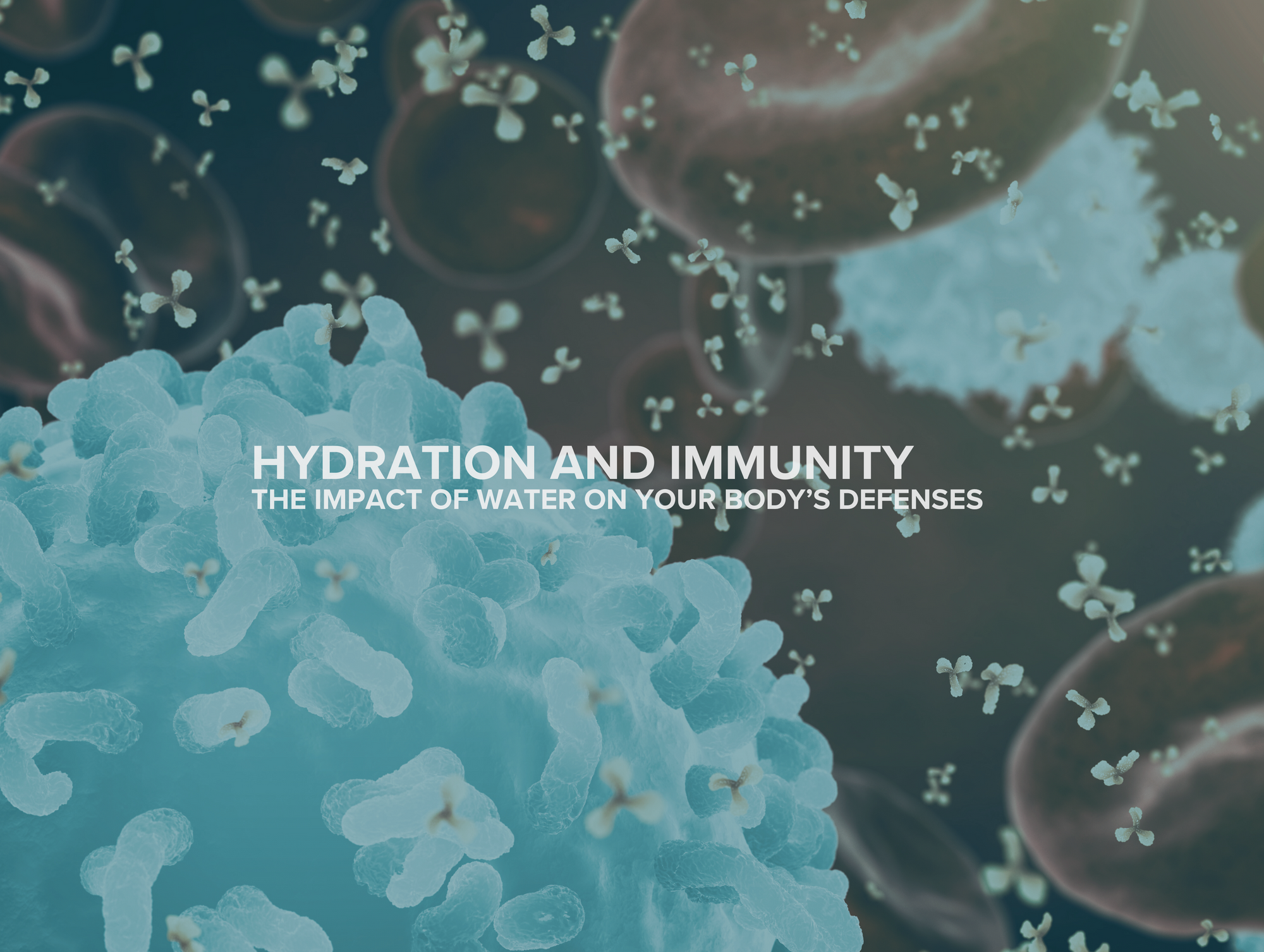 The Role of Water in Immune System Function