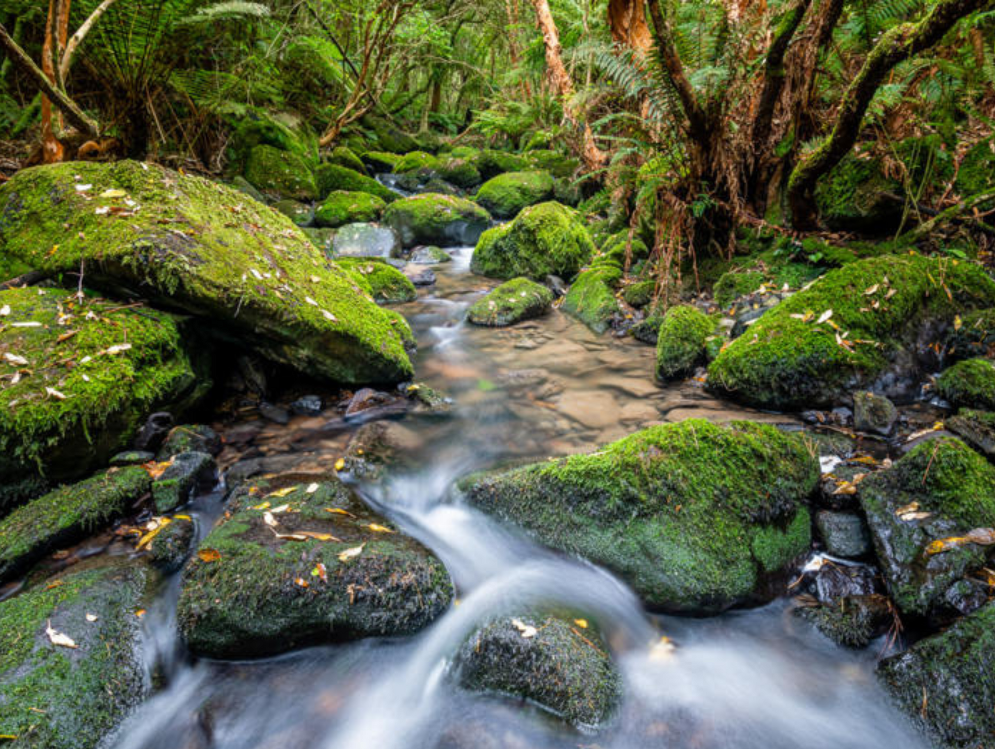 Minerals Matter: Why Your Source Water Affects Ionization More Than You Think