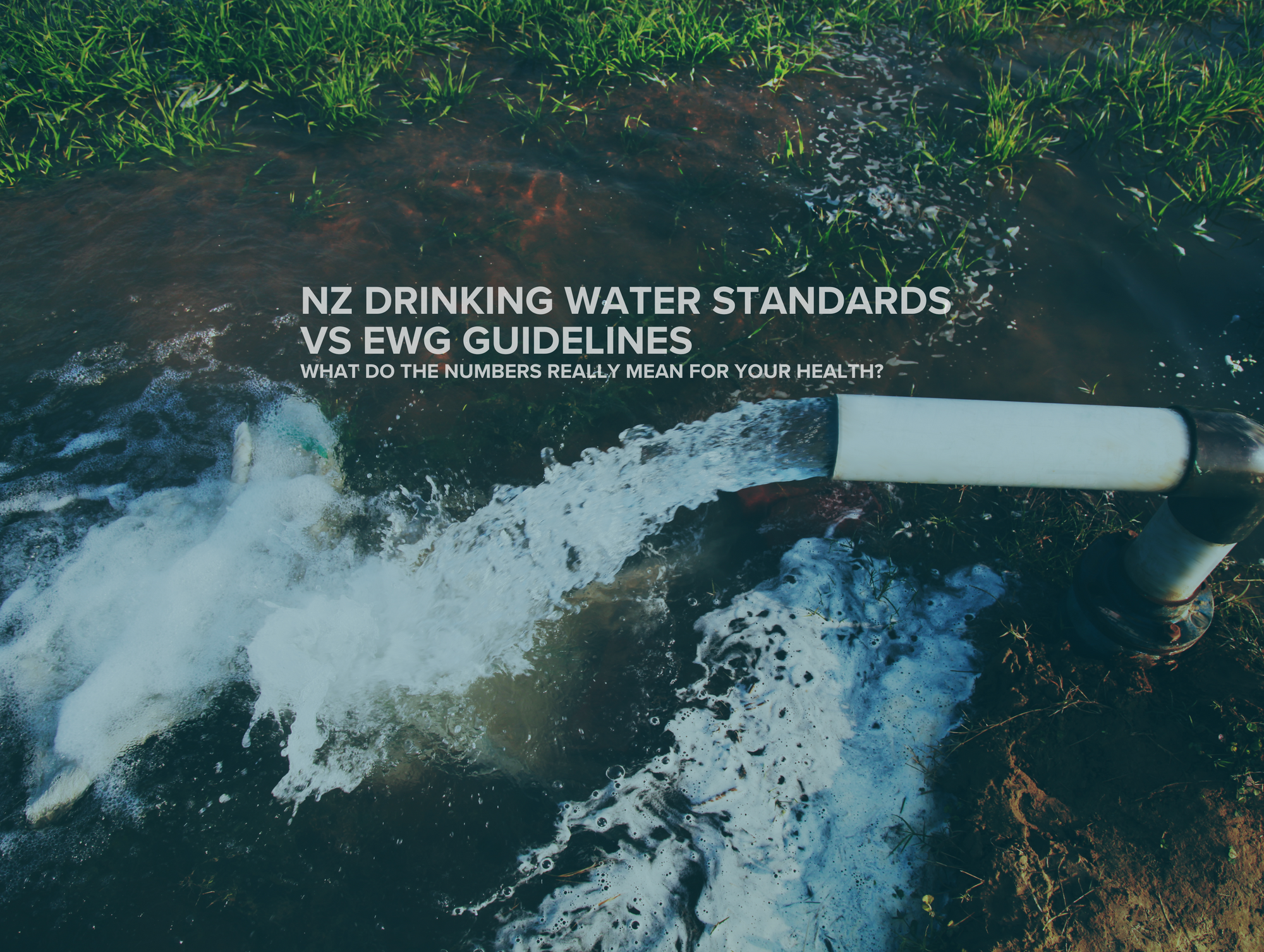 NZ Drinking Water Standards vs EWG Guidelines