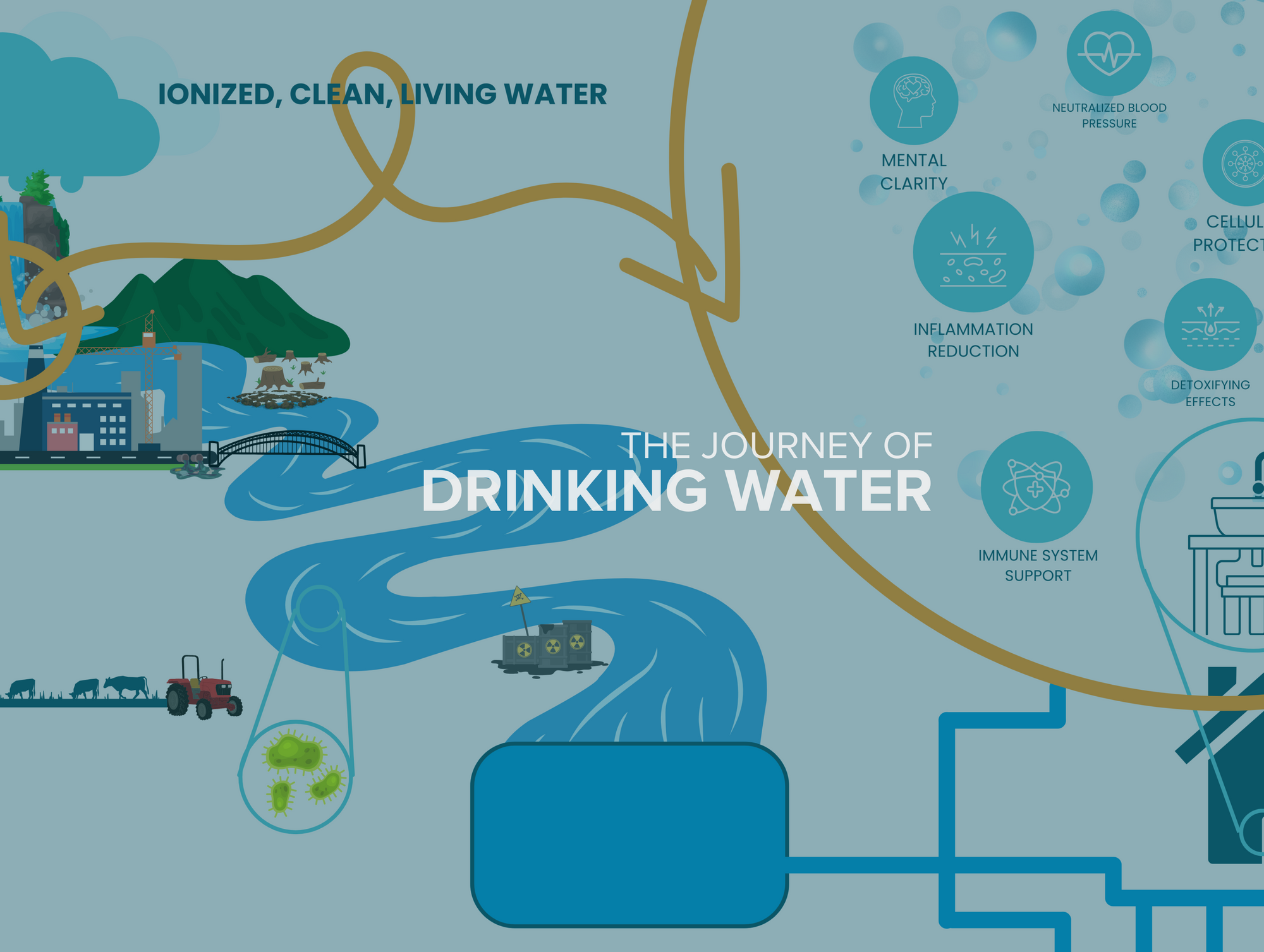 The Journey of Drinking Water: From Nature to Your Tap and Beyond