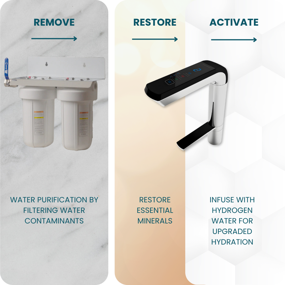 Ionza Complete Home Ionized Lifespring