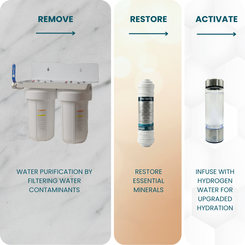 Ionza Complete Home Lifespring
