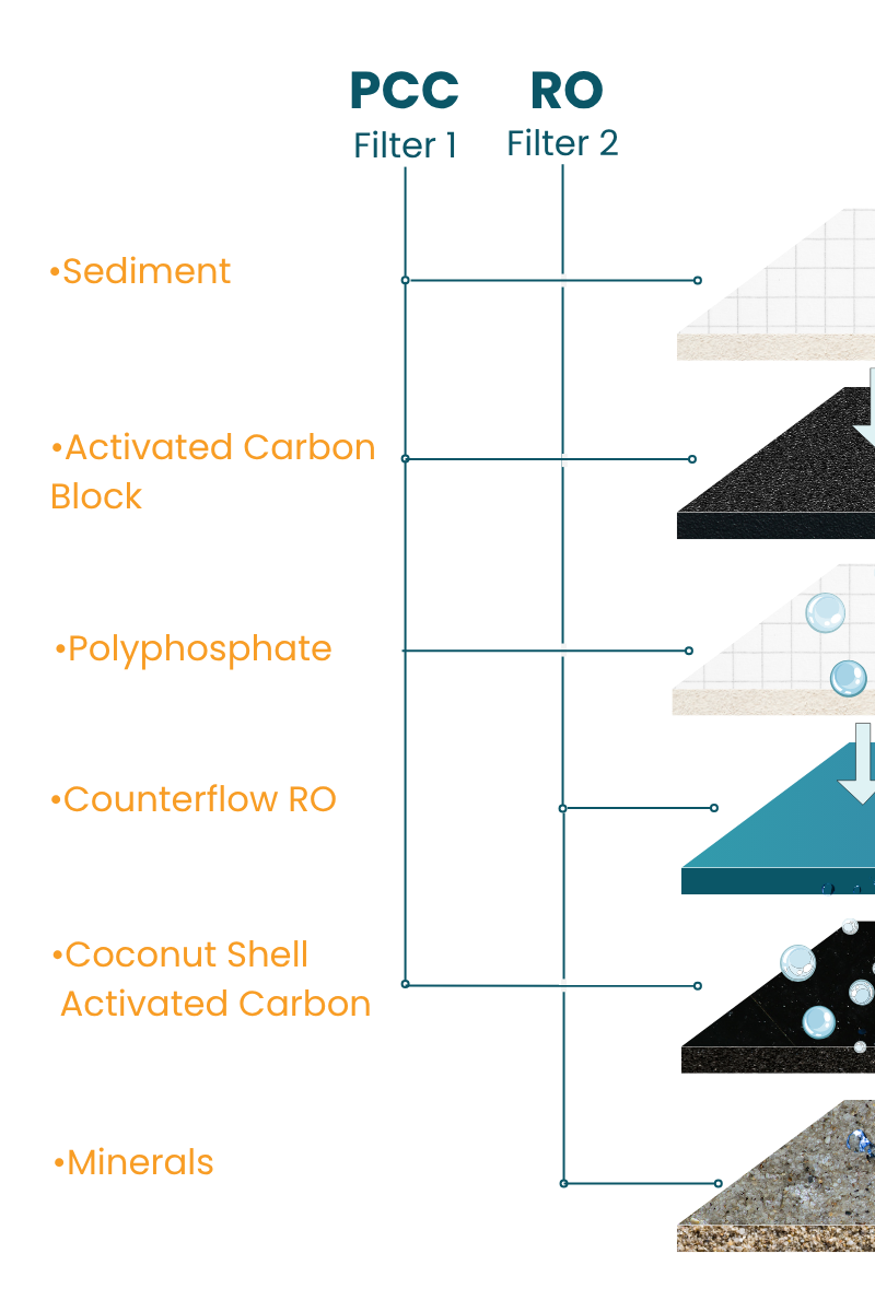 Diagram of the PureRevive filtration stages